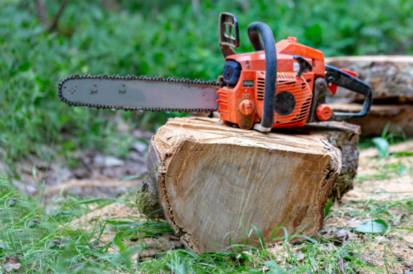 Professionnel pour la coupe et l'acheminement de bois dans le Libournais