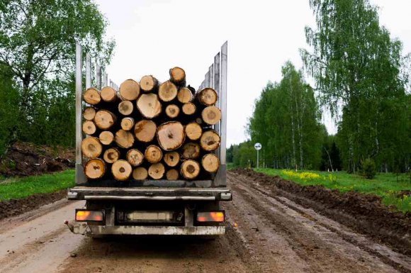 Entreprise de débardage forestier - Le Libournais - AUX BOIS D’EYGURANDE