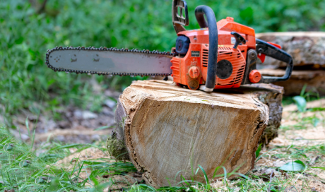 Professionnel pour la coupe et l'acheminement de bois dans le Libournais