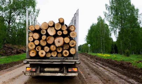 Entreprise de débardage forestier - Le Libournais - AUX BOIS D’EYGURANDE